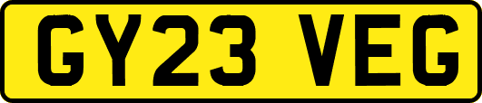 GY23VEG