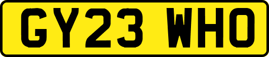 GY23WHO