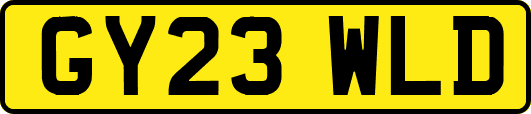 GY23WLD