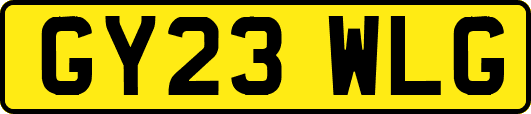 GY23WLG