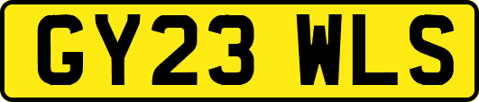 GY23WLS
