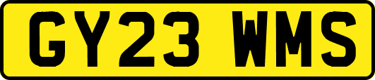 GY23WMS