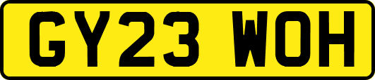 GY23WOH