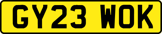 GY23WOK