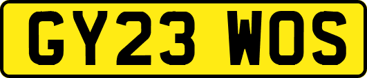 GY23WOS
