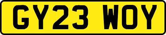 GY23WOY