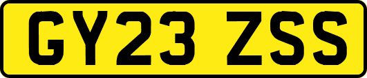 GY23ZSS