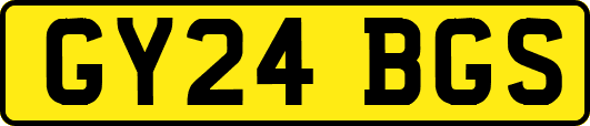 GY24BGS