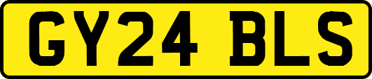 GY24BLS