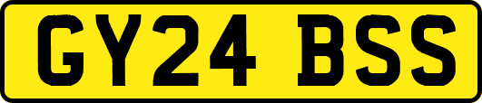 GY24BSS