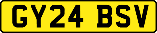 GY24BSV