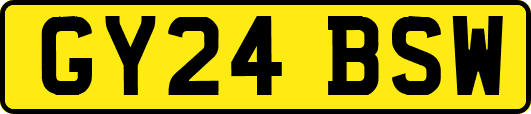 GY24BSW