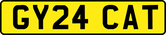 GY24CAT