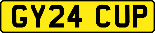 GY24CUP