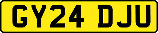 GY24DJU