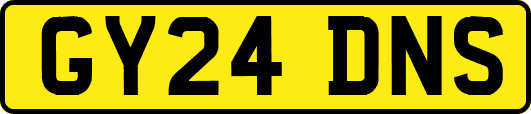 GY24DNS
