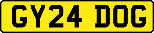 GY24DOG