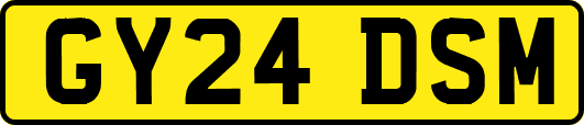 GY24DSM