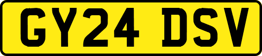 GY24DSV