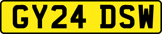 GY24DSW