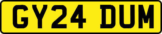 GY24DUM