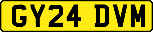 GY24DVM