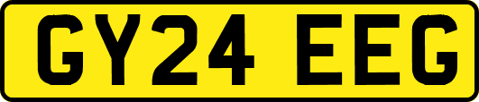 GY24EEG