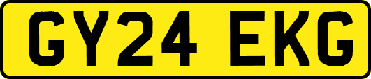 GY24EKG