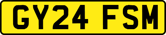 GY24FSM