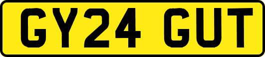GY24GUT