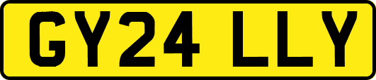 GY24LLY