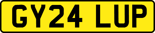 GY24LUP