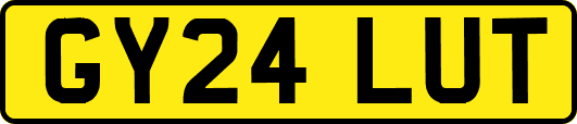 GY24LUT