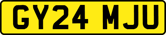 GY24MJU