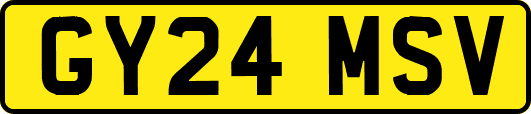 GY24MSV