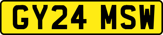 GY24MSW