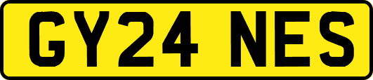 GY24NES