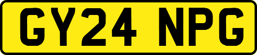 GY24NPG