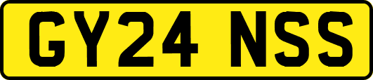 GY24NSS
