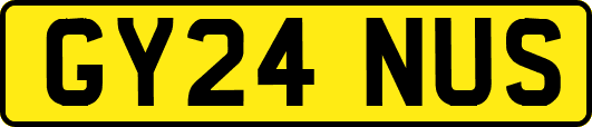 GY24NUS