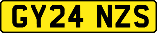 GY24NZS