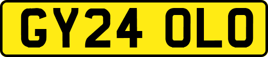 GY24OLO