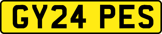 GY24PES