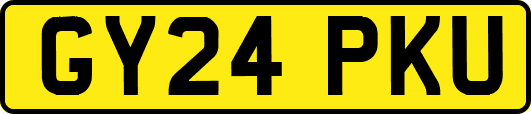GY24PKU
