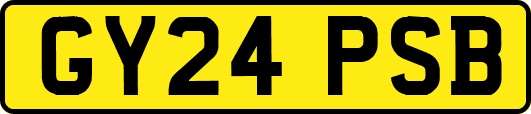 GY24PSB