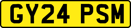 GY24PSM