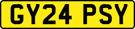 GY24PSY