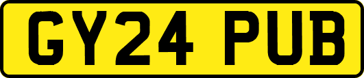 GY24PUB