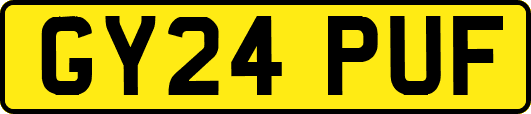 GY24PUF