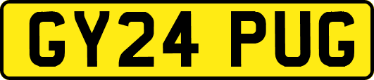GY24PUG